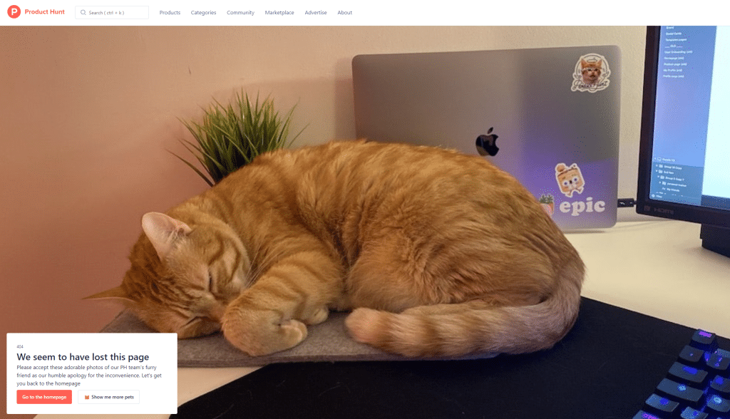Product Hunt 404 page